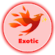 Exotic Tunnel Plus - Androidアプリ