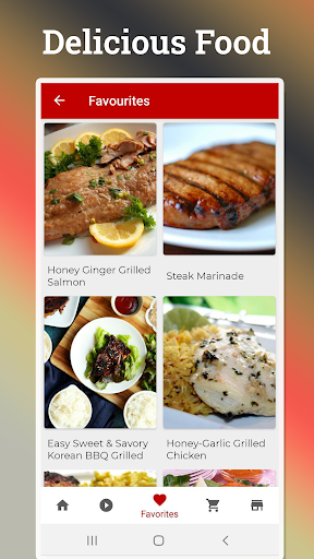 Barbecue Grill Recipes Screen 3