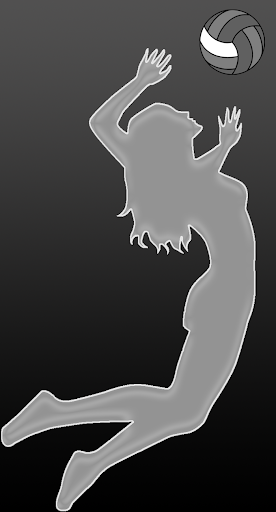 Android application Volley Torch screenshort