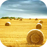 Cover Image of Download Country Wallpaper 5.0.0 APK