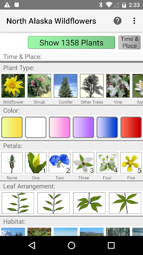 Android application Alaska Wildflowers North screenshort