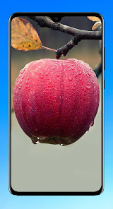 Screenshot 3 Apple Wallpaper 4K android
