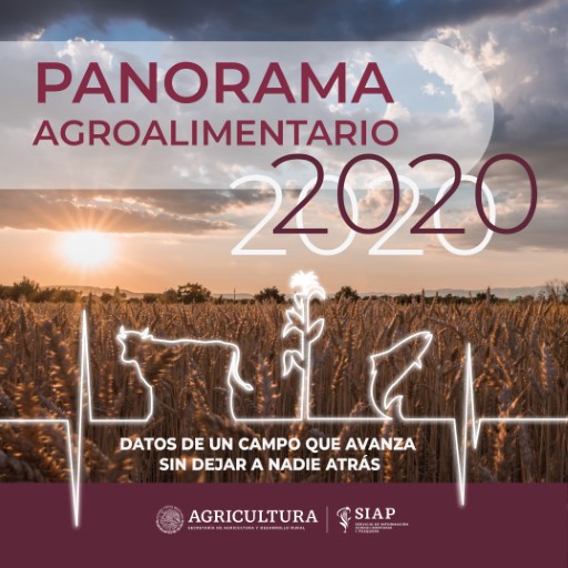 Panorama Agroalimentario 2020 Scarica su Windows