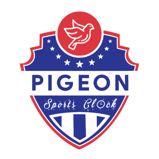 Pigeon Sports Clock  Icon
