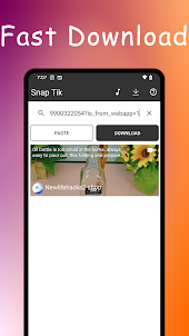 SnapTik: Watermark Remover