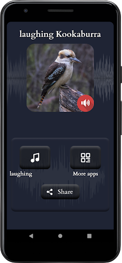 Laughing Kookaburra Sounds Screen 2