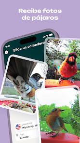 Imágen 7 Bird Buddy: Vive la naturaleza android