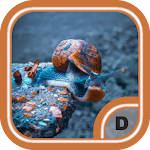 Cover Image of ダウンロード Amazing Snail Wallpapers HD  APK