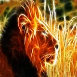 3D Lion 10 icon