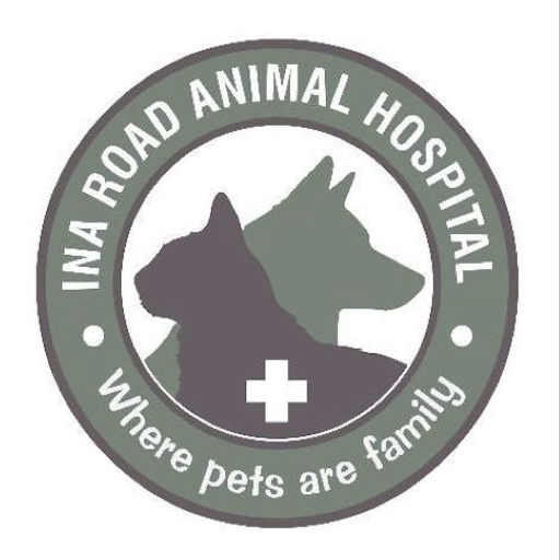 IRAH Pet Connect Header - AppWisp.com