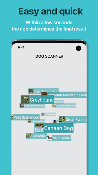 Dog Scanner