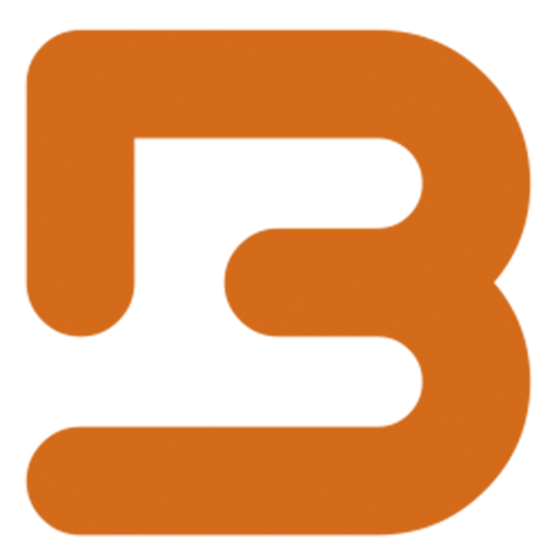 BİRLink logo