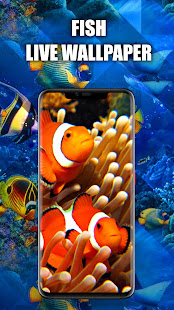 Fish Live Wallpaper | Aquarium Fish Wallpapers