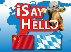 iSayHello Chinese - Bavarianのおすすめ画像5