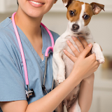 Veterinarian Jigsaw Puzzles Game icon