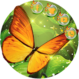 Wonderful Butterfly in the Green Forest Theme icon