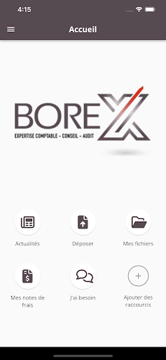 BOREX Screen 2