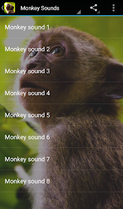 Monkey Sounds Apk Download 3