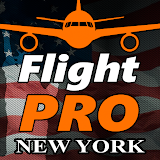 Pro Flight Simulator 2 - New York icon