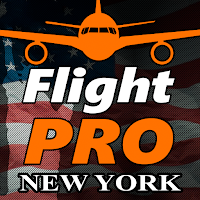 Pro Flight Simulator 2 - New York