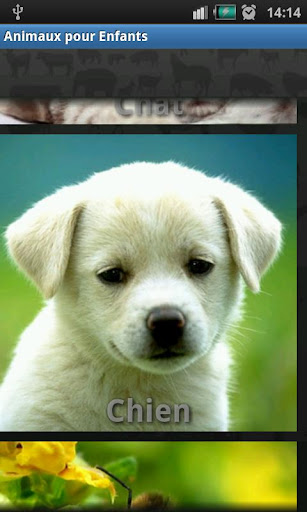 Android application Animal Sounds screenshort