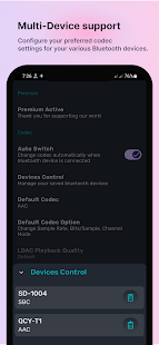 Bluetooth Codec Changer Screenshot