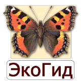 EcoGuide: Russian Butterflies icon