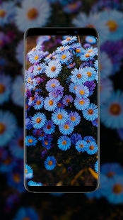 Flower Wallpapers in HD, 4K 4.1.39 screenshots 4