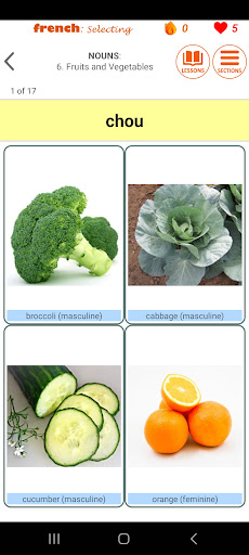 Only French: Learn Language Screen 3