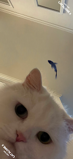 CAT ALONE 2 - Cat Toy Screenshot