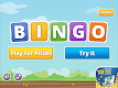 screenshot of Bingo by Michigan Lottery