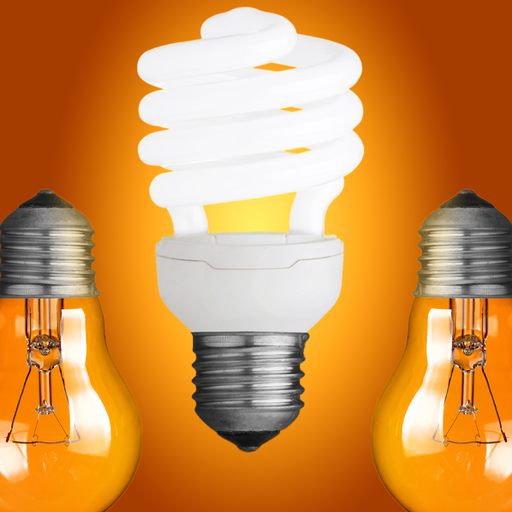 Bright Idea Grant logo