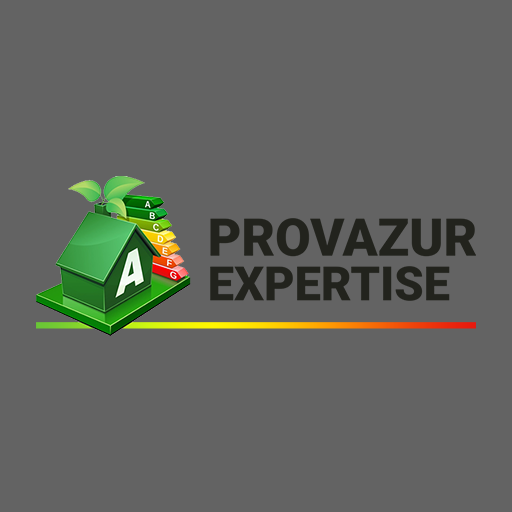 Provazur Expertise logo
