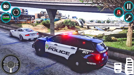 US Police Prado Parking 3D screenshot 23