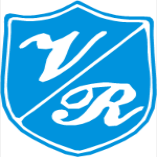 vidhiricetraders logo