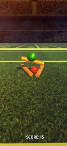 Ball Cricket 3D