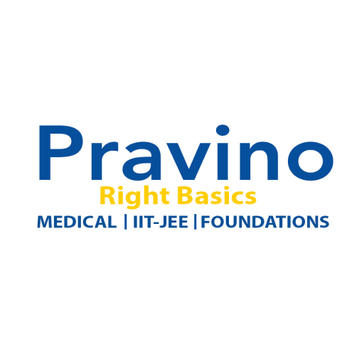 Pravino logo