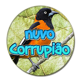 Nuvo Canto Corrupião Hino Nacional icon