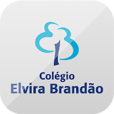 Elvira Brandão icon
