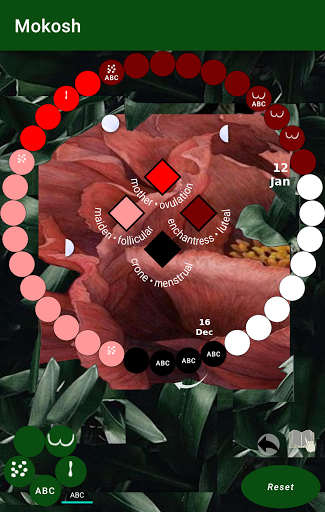 Android application Mokosh screenshort