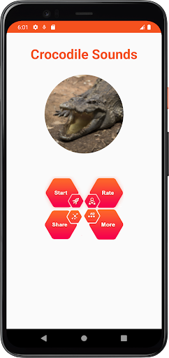 Crocodile Sounds Screen 2