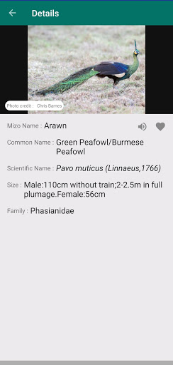 Android application Mizoram Savate screenshort