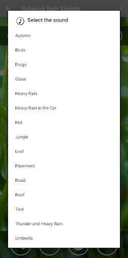 Sound of Rain for Meditation Screen 2