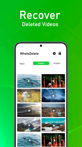 Status Saver Recover Messages