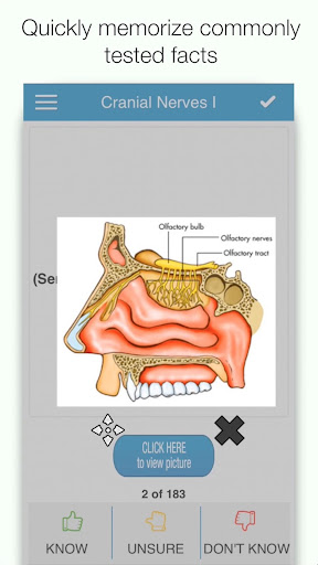 COMLEX Step 1 Anatomy Screen 2