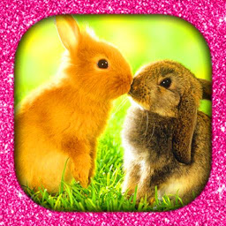 Icon image Bunny Wallpapers Live HD/3D/4K