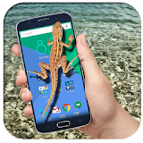 Lizard on Screen- Mobile Screen Komodo Gecko Prank icon