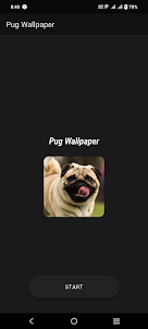 Pug Wallpaper