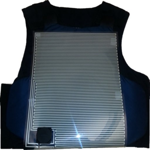 Automatic Injury Detection logo