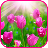 Flowers & Roses Tile Puzzle icon